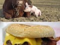 Best friends forever
