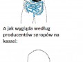 Telewizja kłamie