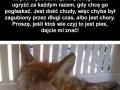 Typ dorwał kojota i chce go komuś wcisnąć