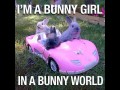 Bunny girl