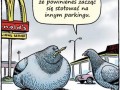 Zaprawdę powiadam ci