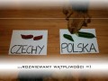 Polska vs czechy