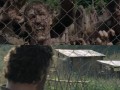 Twd
