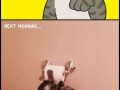 Spidercat