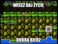 No daj życie