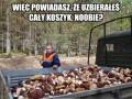 Grzybowy skill2000