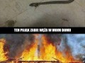 Niezawodny sposób