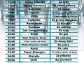 Sylwester plan picia