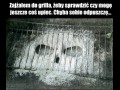 Grill przemówł