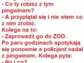 Kawał z brodą