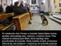 Prawdziwa wierność