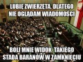 Trzeba je wypuścić znowu do dziczy