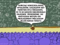 Cżeste zaskoczenie dla studenta