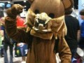 Predobear