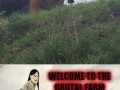 Brutal farm