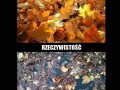 Oczekiwania vs rzeczywistość 1