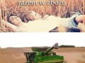 Kiedy leżycie razem w zbożu