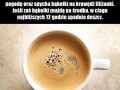 Nie da się gniewnie wypowiedzieć słowa bąbelki