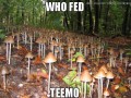 Who fed teeto