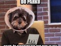 Chyba mnie oszukałeś