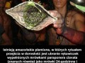 Amazoński rytuał przejścia