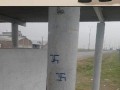 Ciężko jest być nazistą