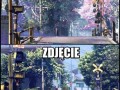 Takie tam porównanie