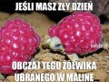 Dla mających zły dzień