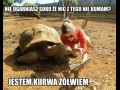 Nie kumam