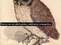 Byłoby pięknie