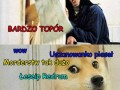 Pieseł z lśnienia