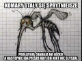 Komary stały się sprytniejsze