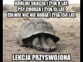 Wnioski
