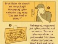 Tajemnica zaginionej paczki
