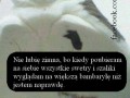 Nie lubię zimna