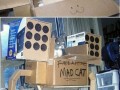 Robo kot