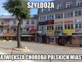Szyldoza