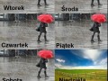 Logika majówki