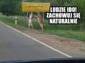 Ludzie ido