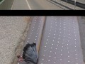 Most vs gołąb