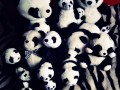 Pandylt3