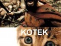 This is kotek
