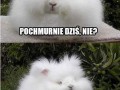 Duże zachmurzenie