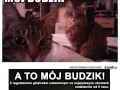 Papuzi budzik