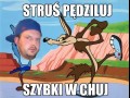Struś pędziluj