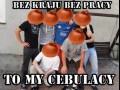 Cebulandia