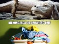 Niekończąca się opowieść