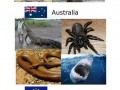 Nowy gatunek europy