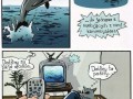 Delfiny to pedały