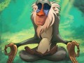 Rada od rafiki